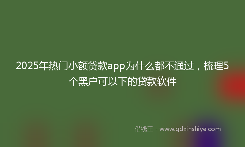 2025年热门小额贷款app为什么都不通过，梳理5个黑户可以下的贷款软件