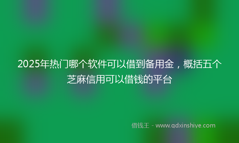 2025年热门哪个软件可以借到备用金，概括五个芝麻信用可以借钱的平台