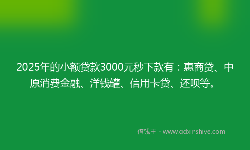2025年的小额贷款3000元秒下款有：惠商贷、中原消费金融、洋钱罐、信用卡贷、还呗等。