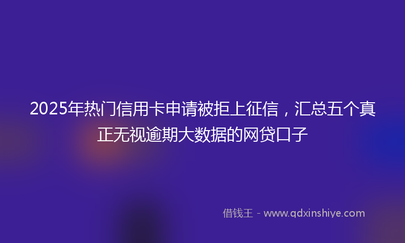 2025年热门信用卡申请被拒上征信，汇总五个真正无视逾期大数据的网贷口子