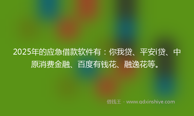 2025年的应急借款软件有：你我贷、平安i贷、中原消费金融、百度有钱花、融逸花等。