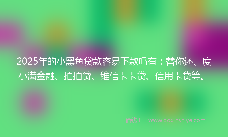 2025年的小黑鱼贷款容易下款吗有：替你还、度小满金融、拍拍贷、维信卡卡贷、信用卡贷等。