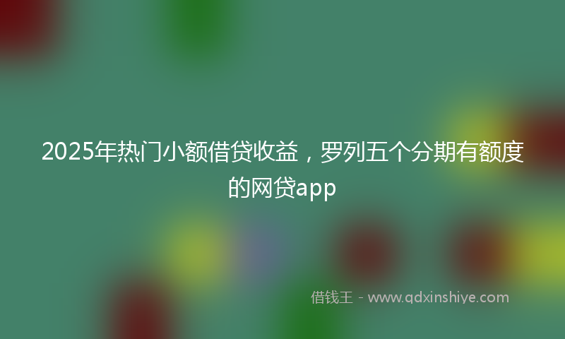 2025年热门小额借贷收益，罗列五个分期有额度的网贷app