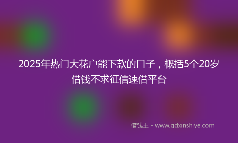 2025年热门大花户能下款的口子，概括5个20岁借钱不求征信速借平台