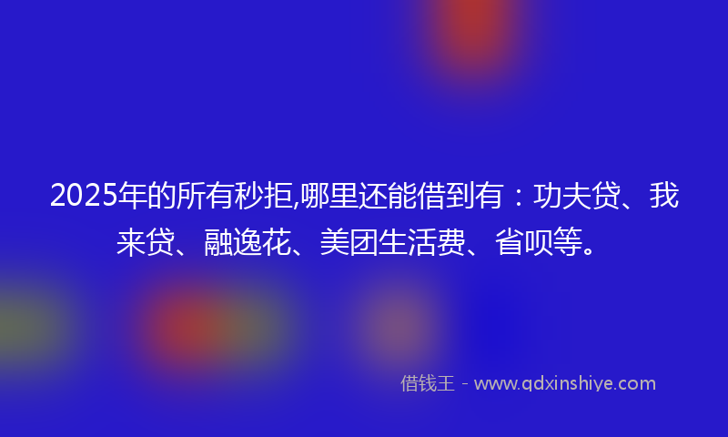 2025年的所有秒拒,哪里还能借到有：功夫贷、我来贷、融逸花、美团生活费、省呗等。