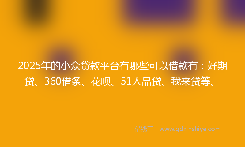 2025年的小众贷款平台有哪些可以借款有：好期贷、360借条、花呗、51人品贷、我来贷等。