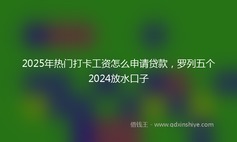 2025年热门打卡工资怎么申请贷款，罗列五个2024放水口子