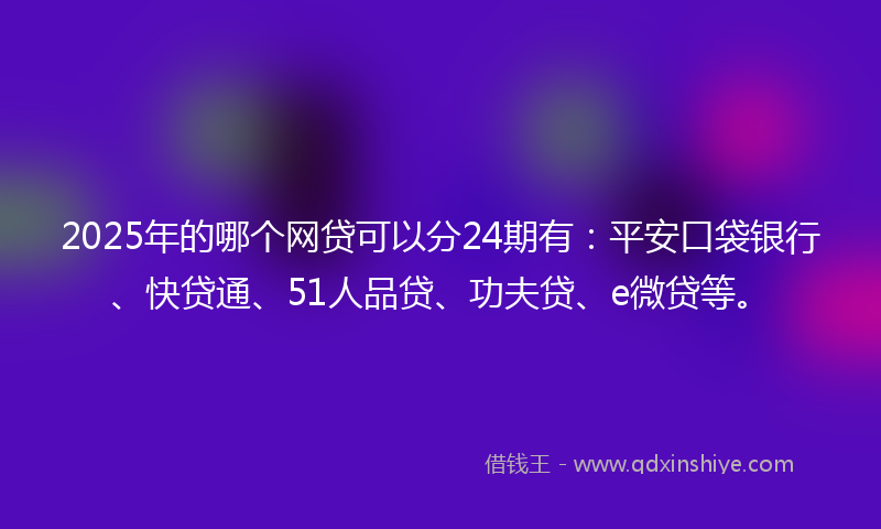 2025年的哪个网贷可以分24期有：平安口袋银行、快贷通、51人品贷、功夫贷、e微贷等。