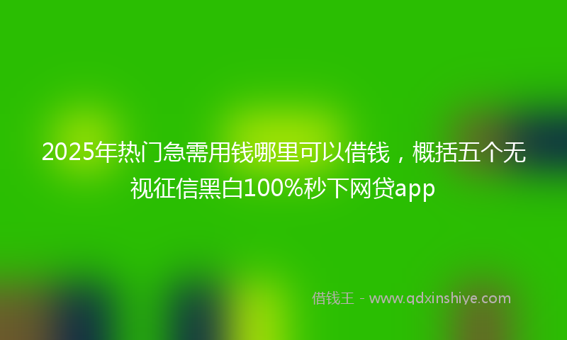 2025年热门急需用钱哪里可以借钱，概括五个无视征信黑白100%秒下网贷app