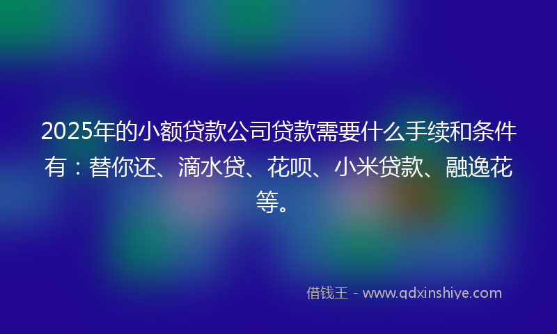 2025年的小额贷款公司贷款需要什么手续和条件有：替你还、滴水贷、花呗、小米贷款、融逸花等。