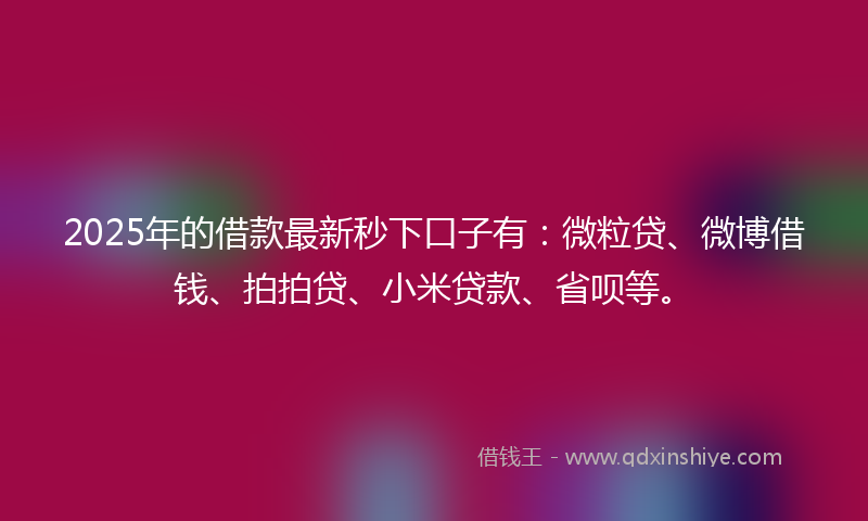 2025年的借款最新秒下口子有：微粒贷、微博借钱、拍拍贷、小米贷款、省呗等。