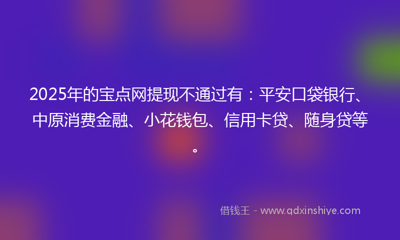 2025年的宝点网提现不通过有：平安口袋银行、中原消费金融、小花钱包、信用卡贷、随身贷等。