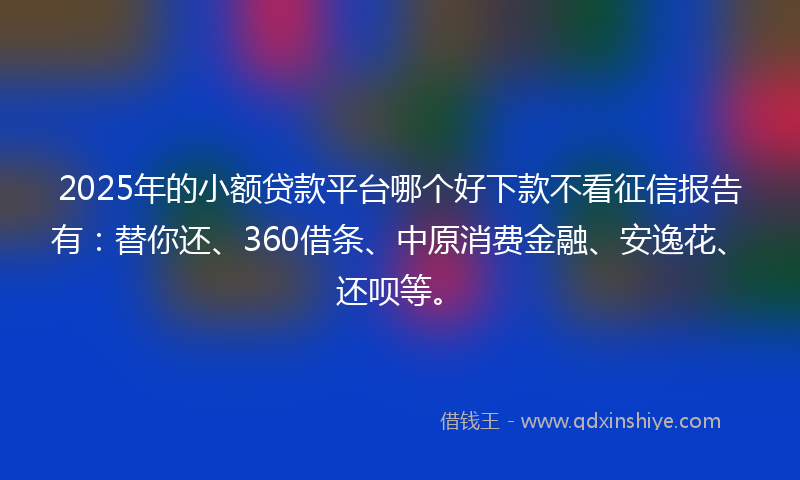 2025年的小额贷款平台哪个好下款不看征信报告有：替你还、360借条、中原消费金融、安逸花、还呗等。