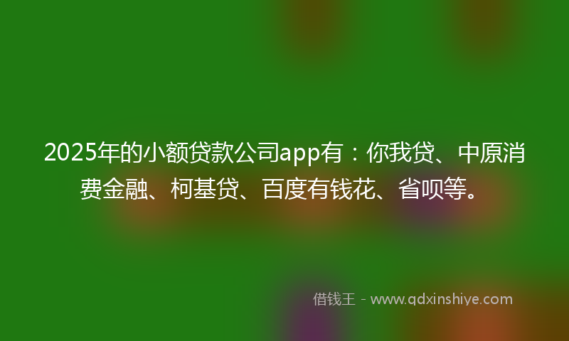 2025年的小额贷款公司app有：你我贷、中原消费金融、柯基贷、百度有钱花、省呗等。