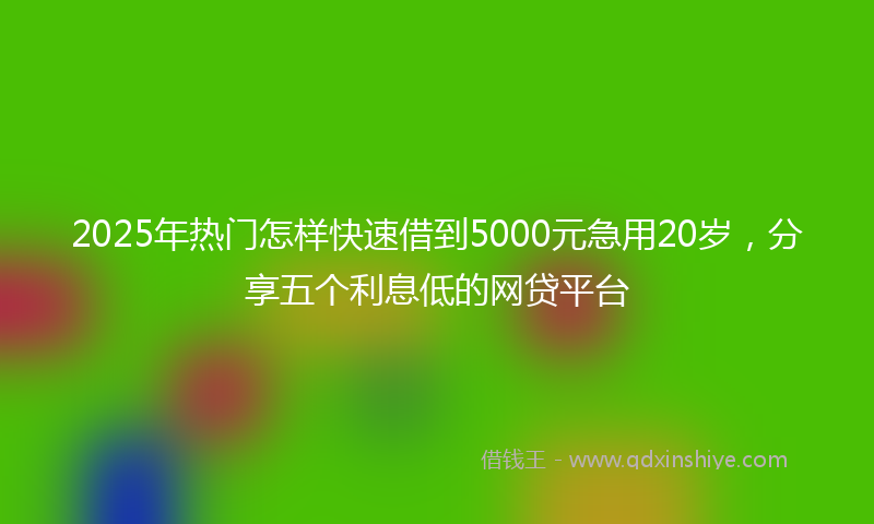 2025年热门怎样快速借到5000元急用20岁，分享五个利息低的网贷平台