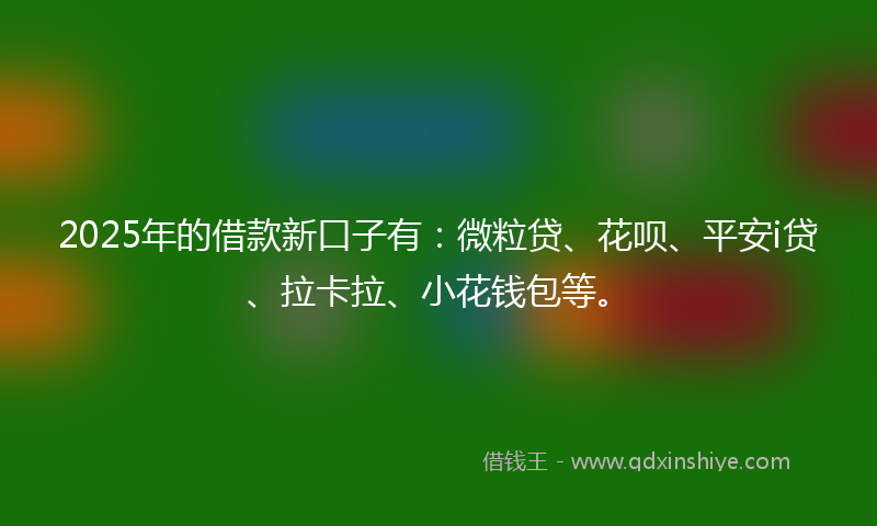 2025年的借款新口子有：微粒贷、花呗、平安i贷、拉卡拉、小花钱包等。