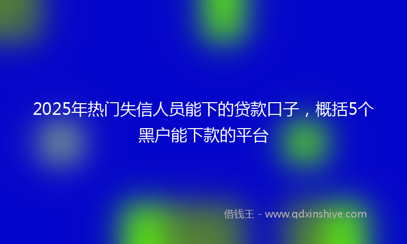 2025年热门失信人员能下的贷款口子，概括5个黑户能下款的平台