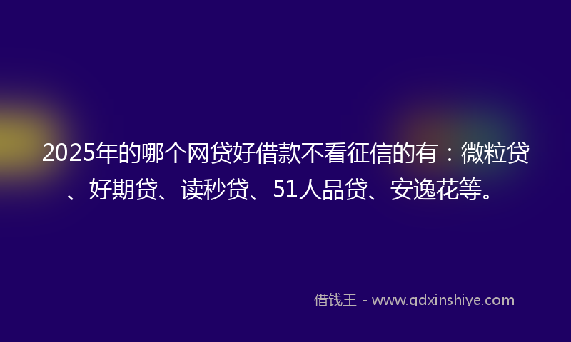 2025年的哪个网贷好借款不看征信的有：微粒贷、好期贷、读秒贷、51人品贷、安逸花等。