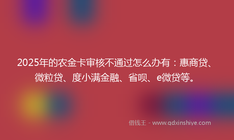 2025年的农金卡审核不通过怎么办有：惠商贷、微粒贷、度小满金融、省呗、e微贷等。