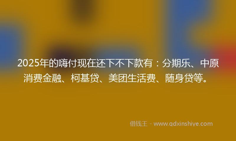 2025年的嗨付现在还下不下款有：分期乐、中原消费金融、柯基贷、美团生活费、随身贷等。