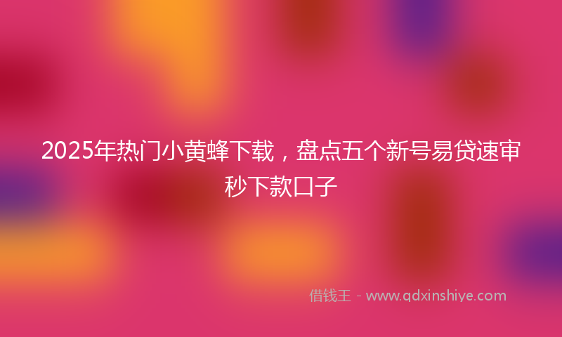2025年热门小黄蜂下载，盘点五个新号易贷速审秒下款口子