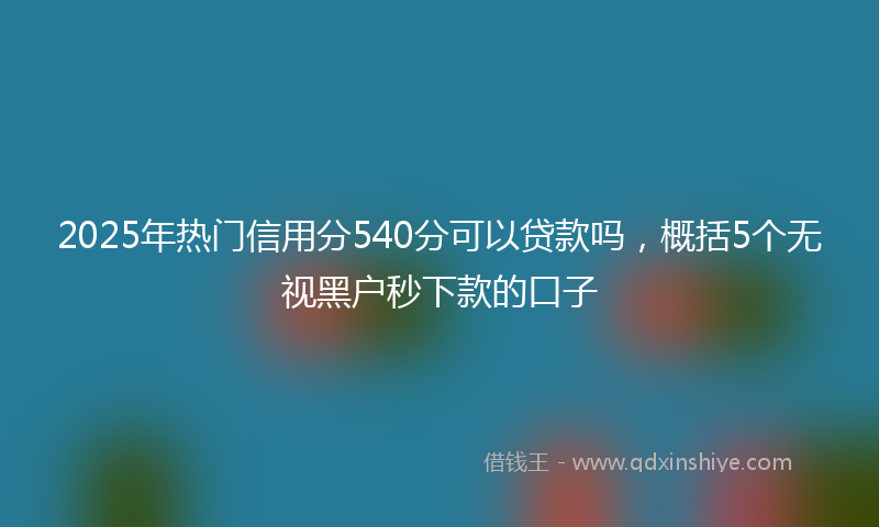 2025年热门信用分540分可以贷款吗，概括5个无视黑户秒下款的口子