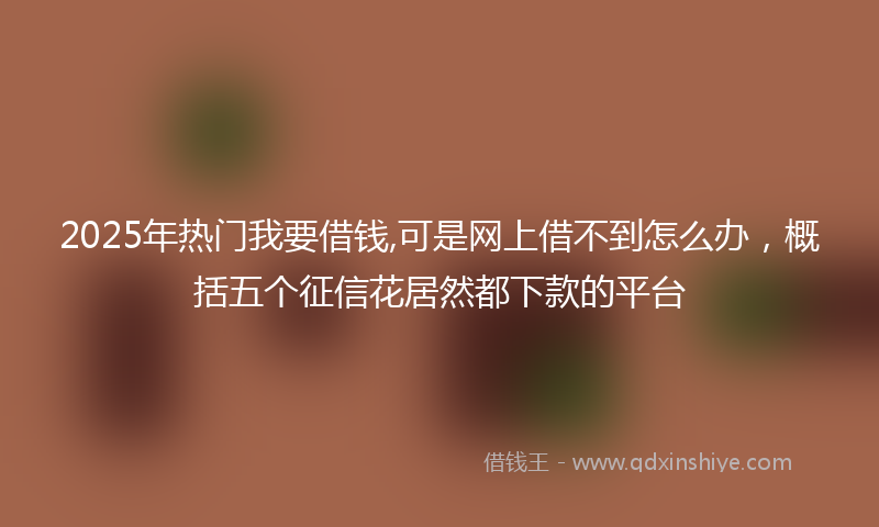 2025年热门我要借钱,可是网上借不到怎么办，概括五个征信花居然都下款的平台