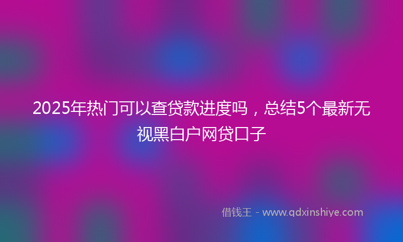 2025年热门可以查贷款进度吗，总结5个最新无视黑白户网贷口子