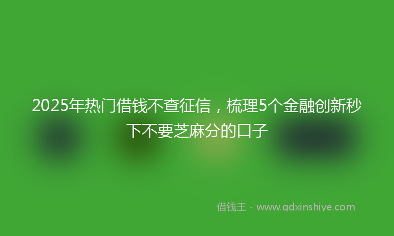 2025年热门借钱不查征信，梳理5个金融创新秒下不要芝麻分的口子