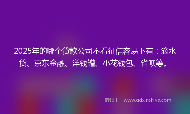 2025年的哪个贷款公司不看征信容易下有：滴水贷、京东金融、洋钱罐、小花钱包、省呗等。