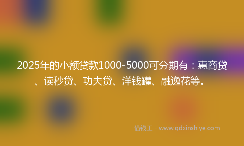 2025年的小额贷款1000-5000可分期有：惠商贷、读秒贷、功夫贷、洋钱罐、融逸花等。
