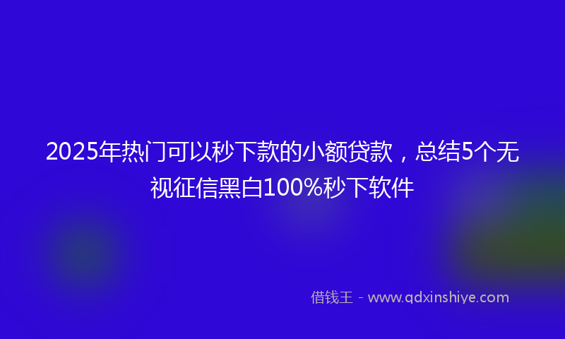 2025年热门可以秒下款的小额贷款，总结5个无视征信黑白100%秒下软件