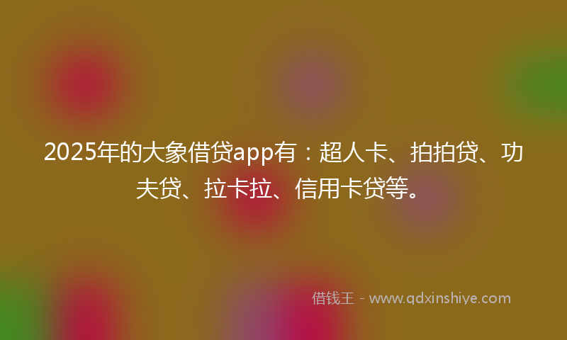 2025年的大象借贷app有：超人卡、拍拍贷、功夫贷、拉卡拉、信用卡贷等。