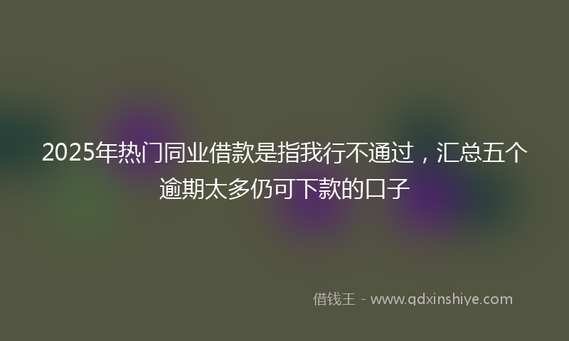 2025年热门同业借款是指我行不通过，汇总五个逾期太多仍可下款的口子