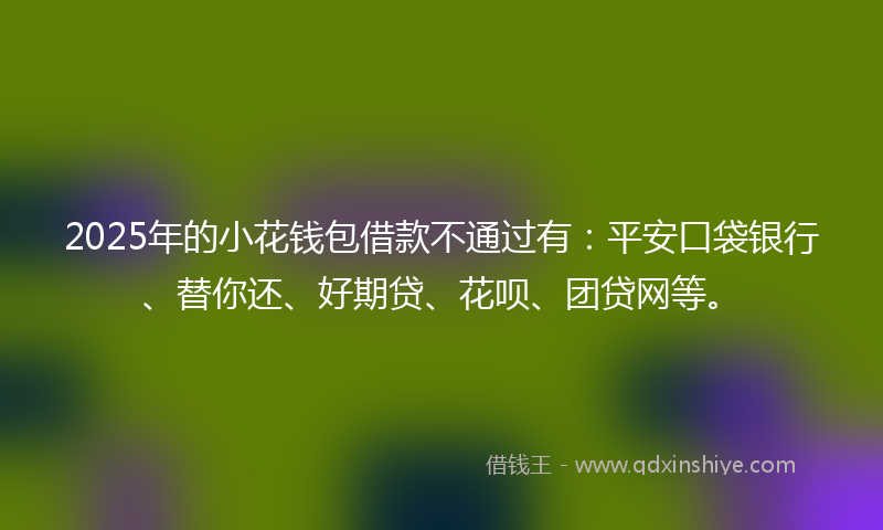 2025年的小花钱包借款不通过有：平安口袋银行、替你还、好期贷、花呗、团贷网等。