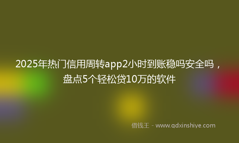 2025年热门信用周转app2小时到账稳吗安全吗，盘点5个轻松贷10万的软件