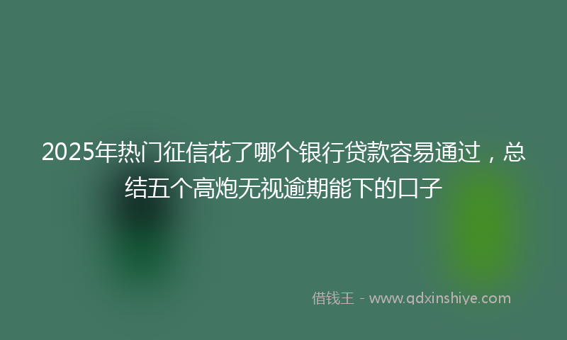 2025年热门征信花了哪个银行贷款容易通过，总结五个高炮无视逾期能下的口子