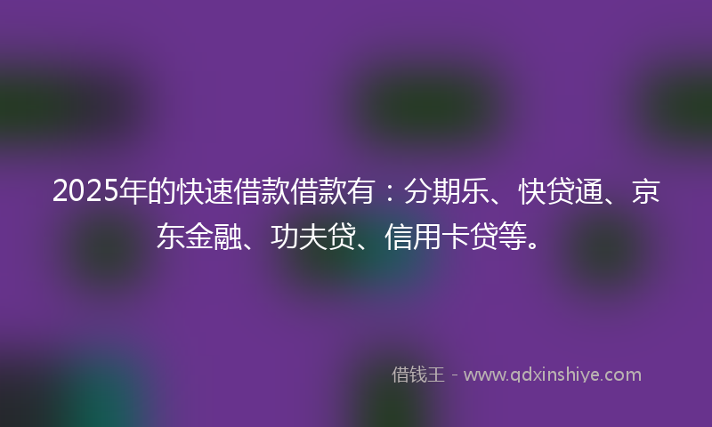 2025年的快速借款借款有：分期乐、快贷通、京东金融、功夫贷、信用卡贷等。