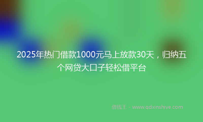 2025年热门借款1000元马上放款30天，归纳五个网贷大口子轻松借平台