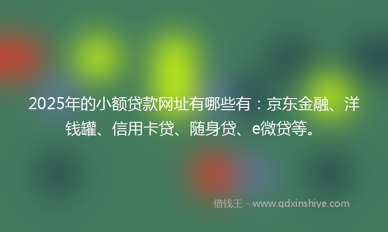 2025年的小额贷款网址有哪些有：京东金融、洋钱罐、信用卡贷、随身贷、e微贷等。