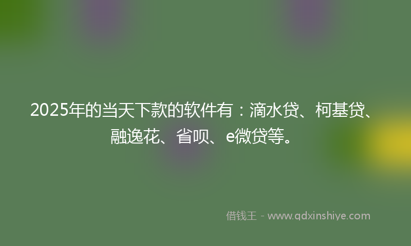 2025年的当天下款的软件有：滴水贷、柯基贷、融逸花、省呗、e微贷等。