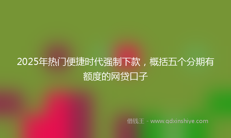 2025年热门便捷时代强制下款，概括五个分期有额度的网贷口子