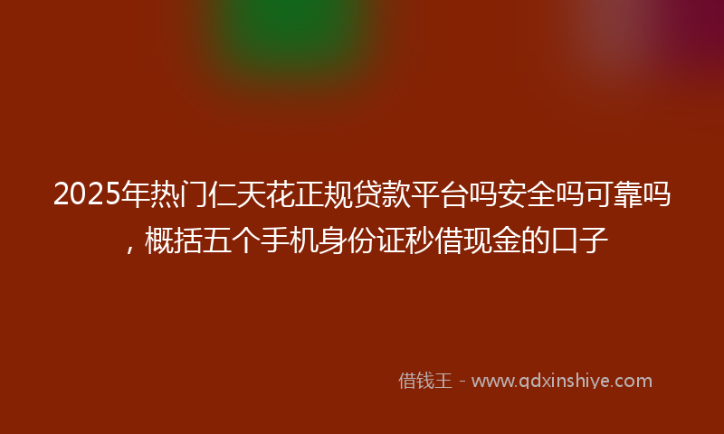 2025年热门仁天花正规贷款平台吗安全吗可靠吗，概括五个手机身份证秒借现金的口子