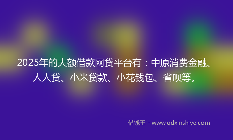 2025年的大额借款网贷平台有：中原消费金融、人人贷、小米贷款、小花钱包、省呗等。