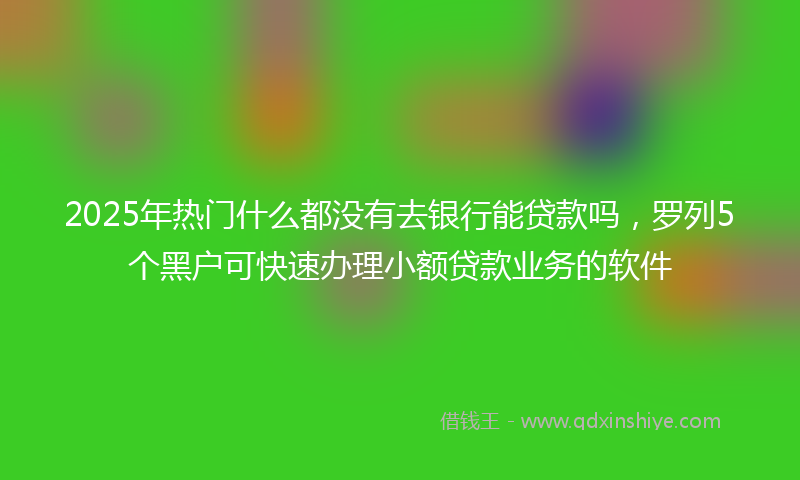 2025年热门什么都没有去银行能贷款吗，罗列5个黑户可快速办理小额贷款业务的软件