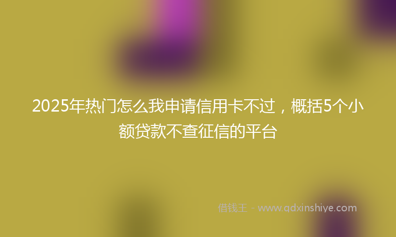 2025年热门怎么我申请信用卡不过，概括5个小额贷款不查征信的平台