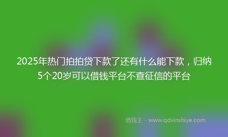 2025年热门拍拍贷下款了还有什么能下款，归纳5个20岁可以借钱平台不查征信的平台
