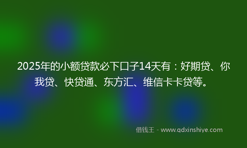 2025年的小额贷款必下口子14天有：好期贷、你我贷、快贷通、东方汇、维信卡卡贷等。