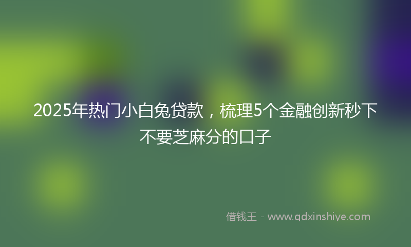2025年热门小白兔贷款，梳理5个金融创新秒下不要芝麻分的口子