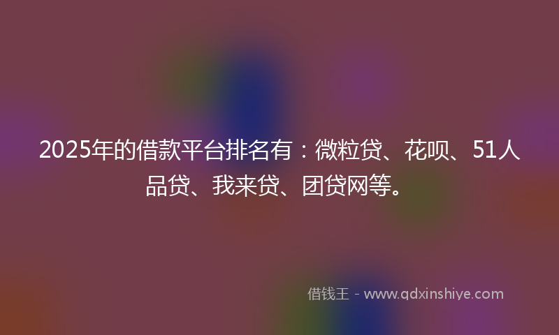 2025年的借款平台排名有：微粒贷、花呗、51人品贷、我来贷、团贷网等。